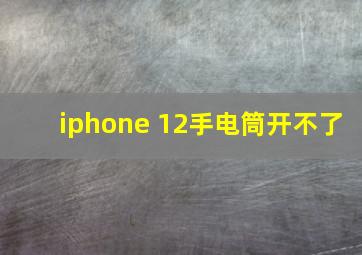 iphone 12手电筒开不了